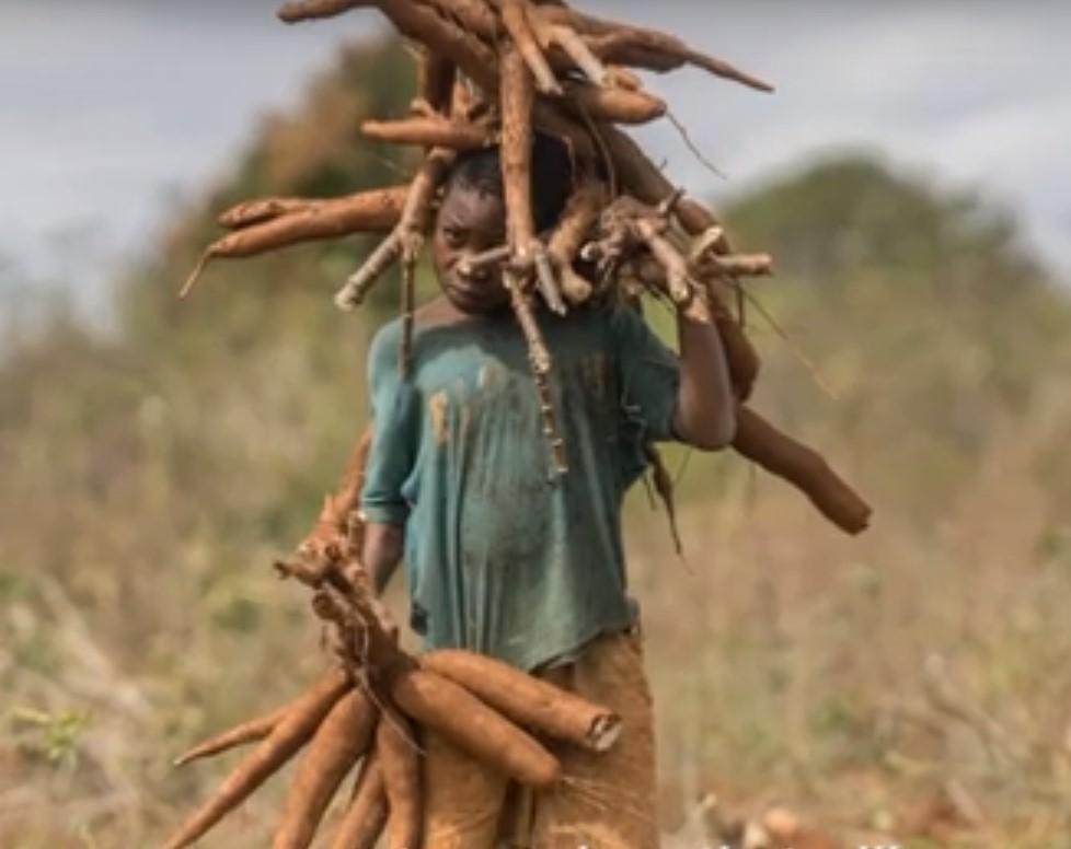 More action needed to address smallholder farmer challenges