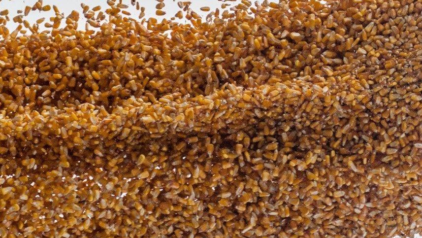 Recognizing the Global Opportunity Every Kernel of Corn Represents
