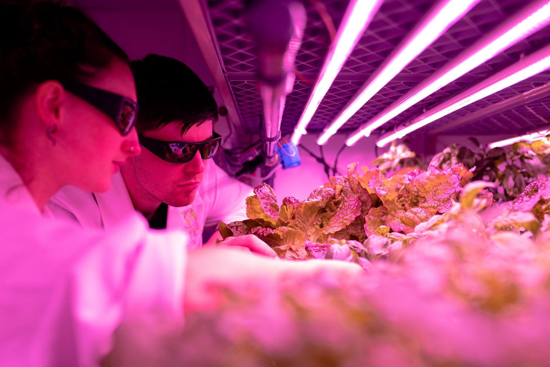 Innovative Technology Protects Crops, Farmers and Our Future