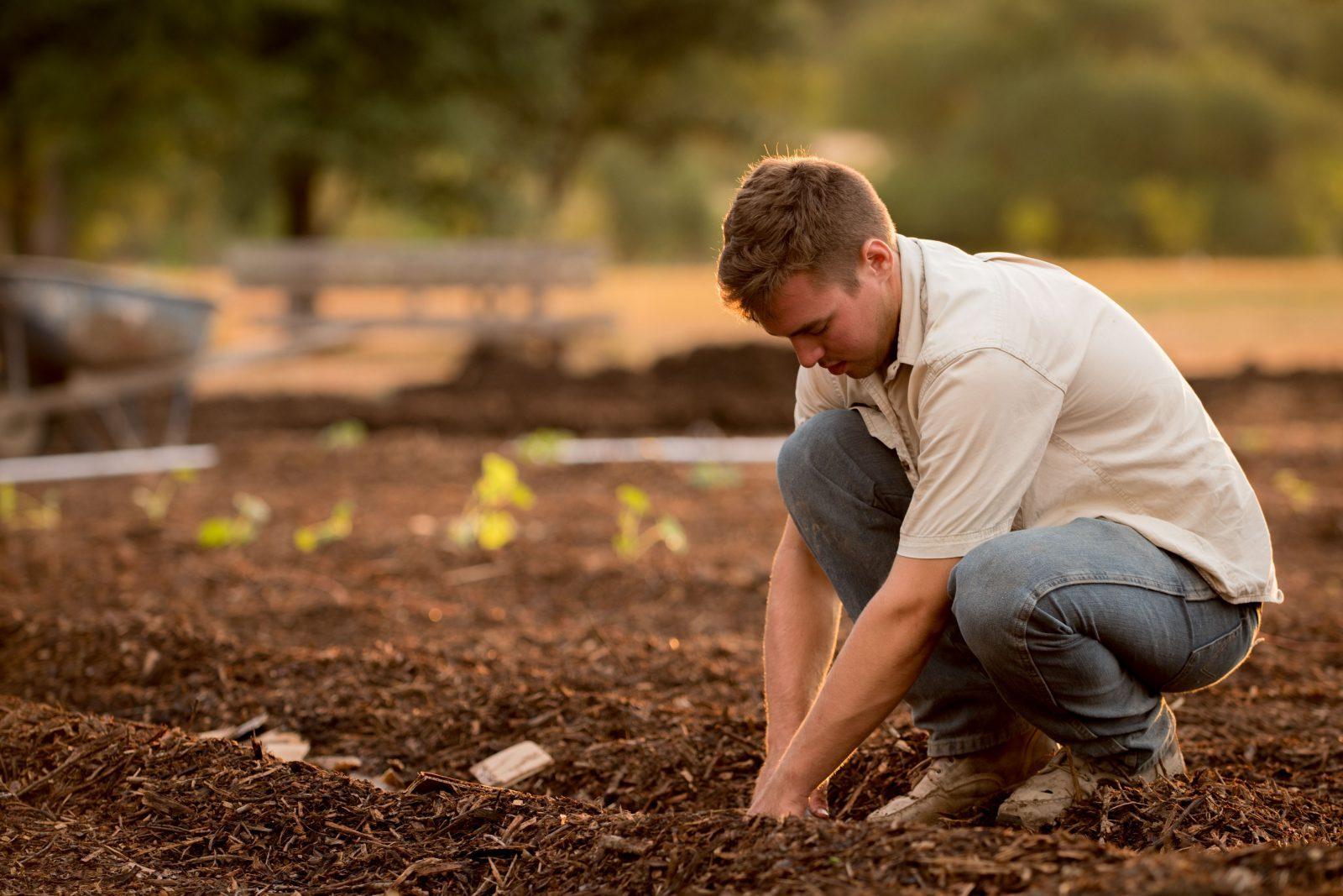 Validation of Agriculture as an Essential and Sustainable Industry
