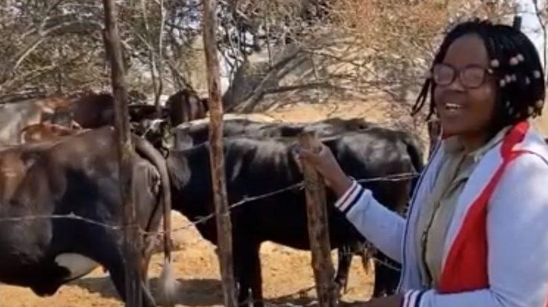 Zimbabwe Farm Tour-Livestock