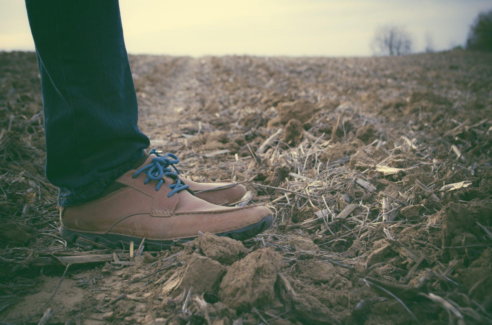 Tom Vilsack's Encore Performance at USDA Can Be Good for American Farmers