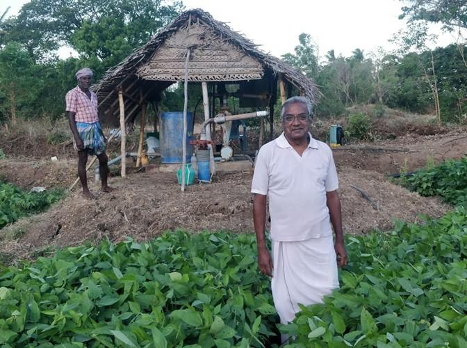 The Man-made Disaster in Sri Lanka Could Have Been Avoided