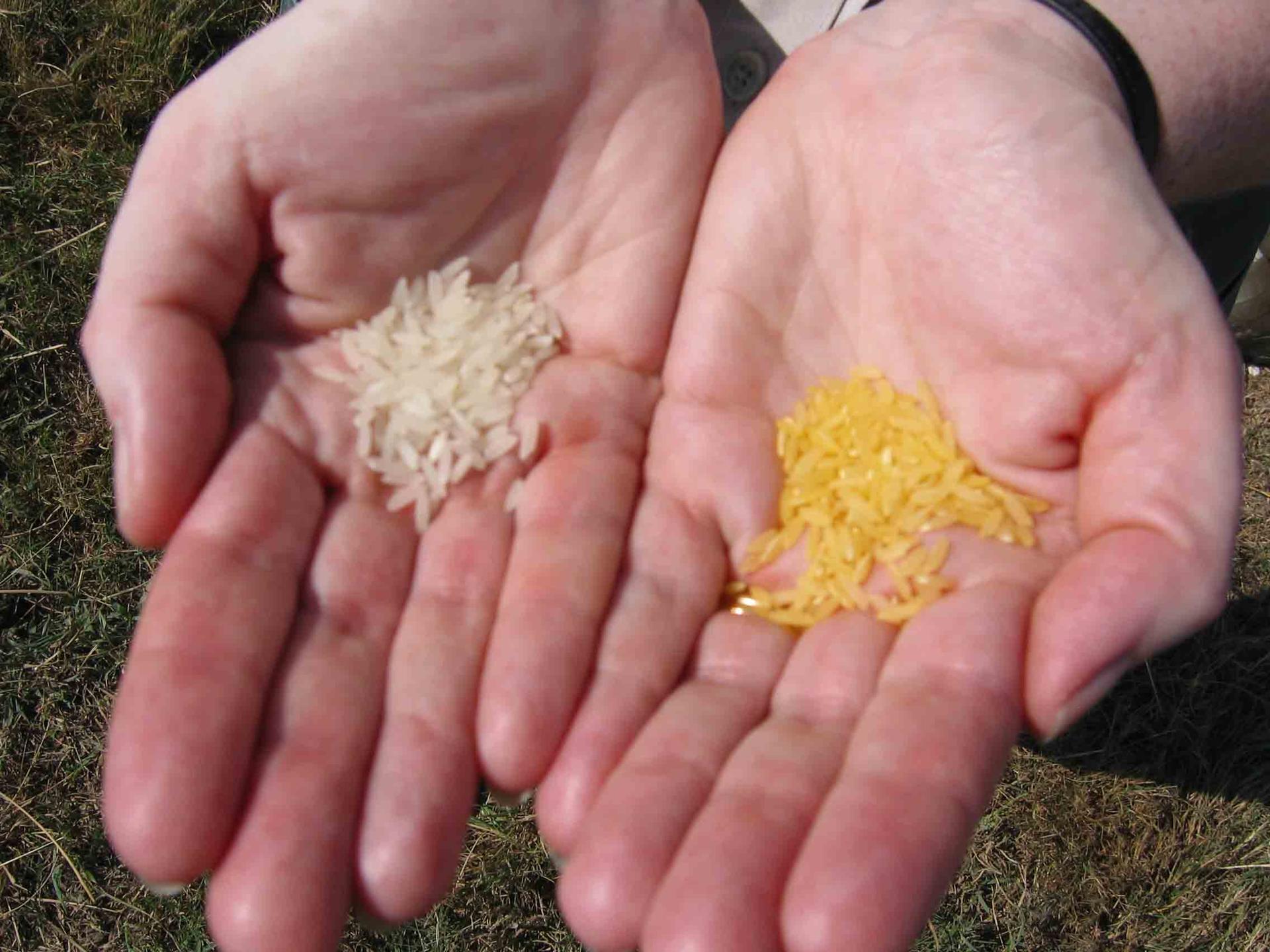 "Golden" Technology to Solve a Global Health Problem