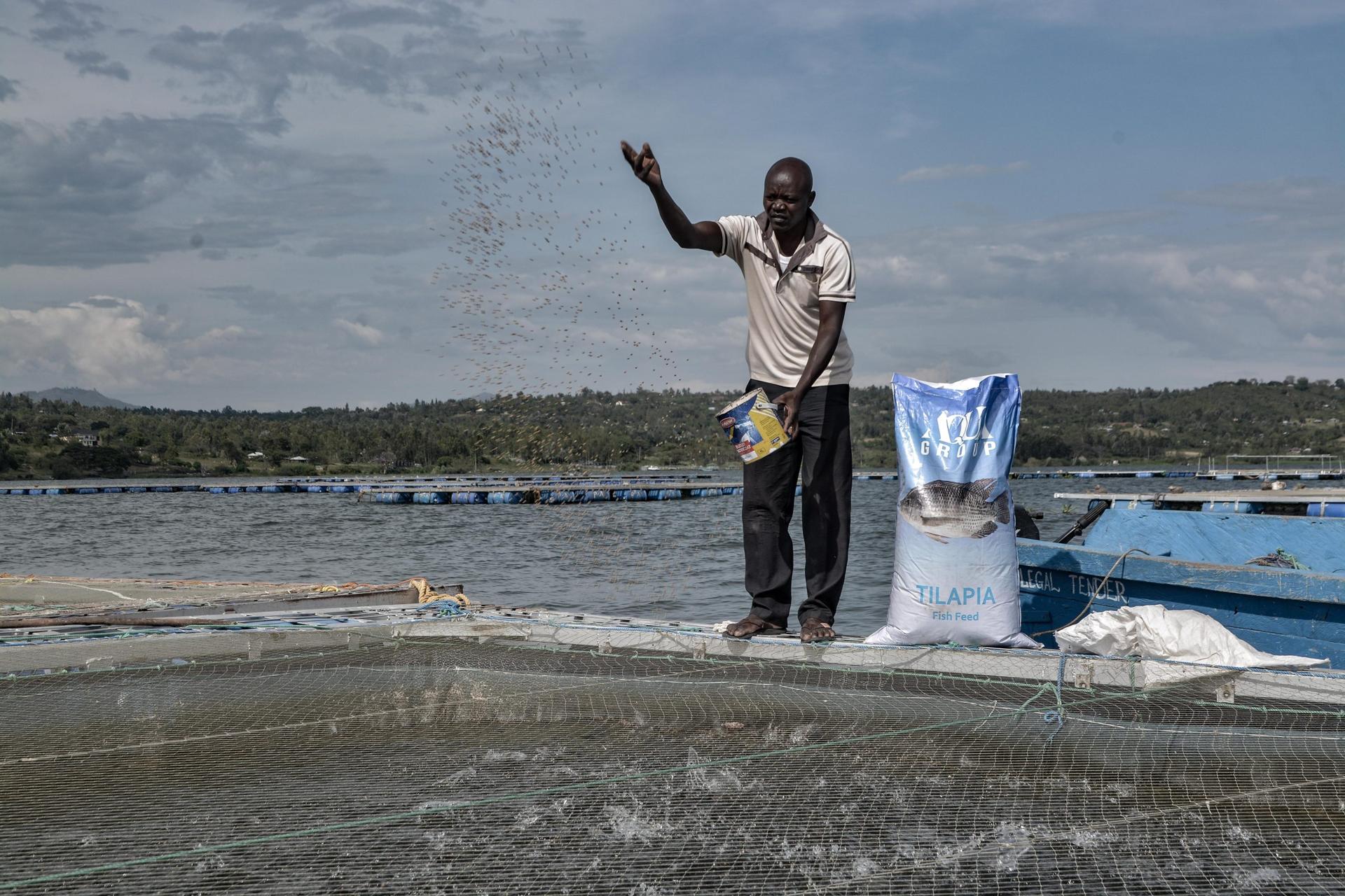 A Fish Story: Technology in Aquaculture Feeds People And Protects the Environment
