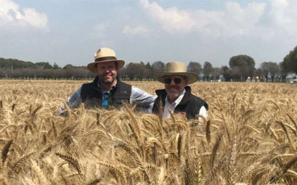CIMMYT and a Farmer
