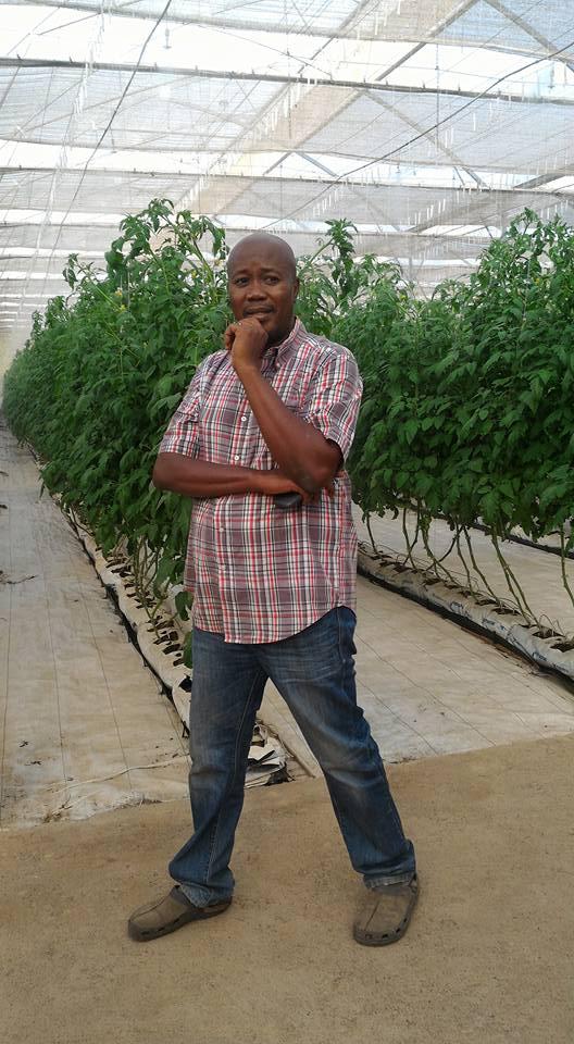 Greenhouse Technology Can Help Feed Africa