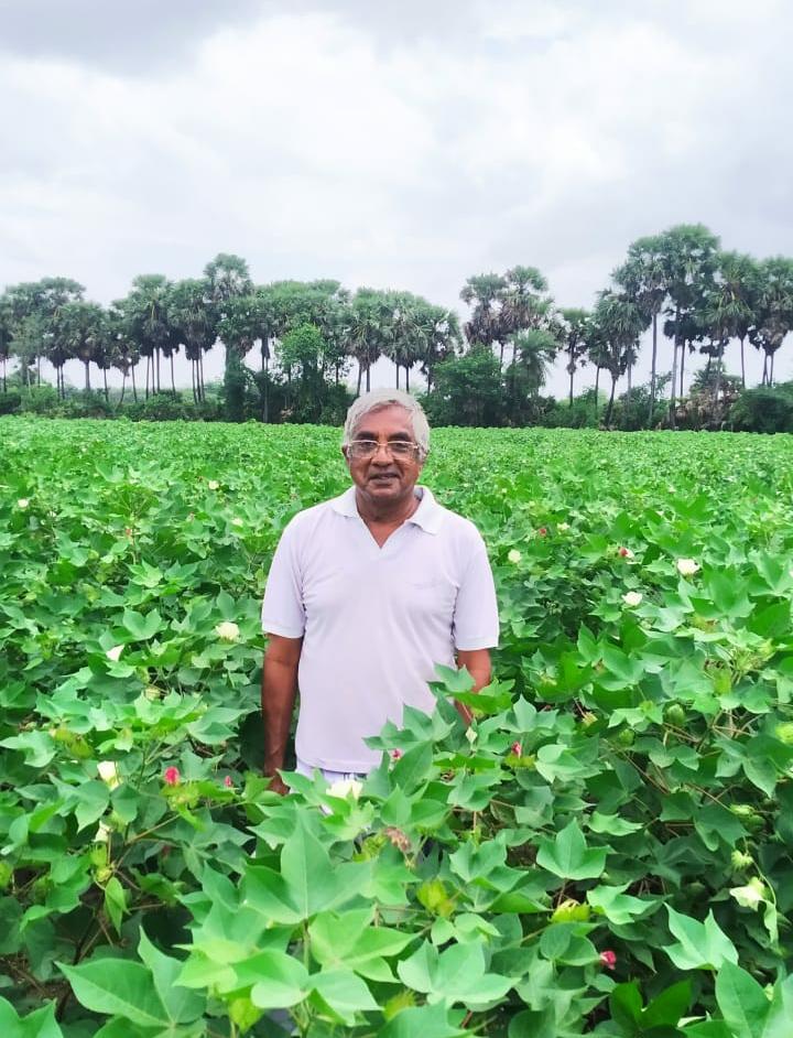 Climate Change Challenge Crusades Must Not Risk Food Security