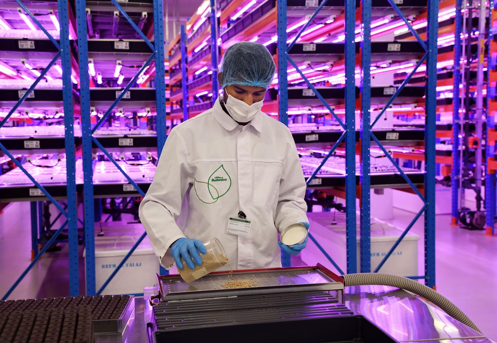Technology Supports Sustainable Agriculture in the Desert