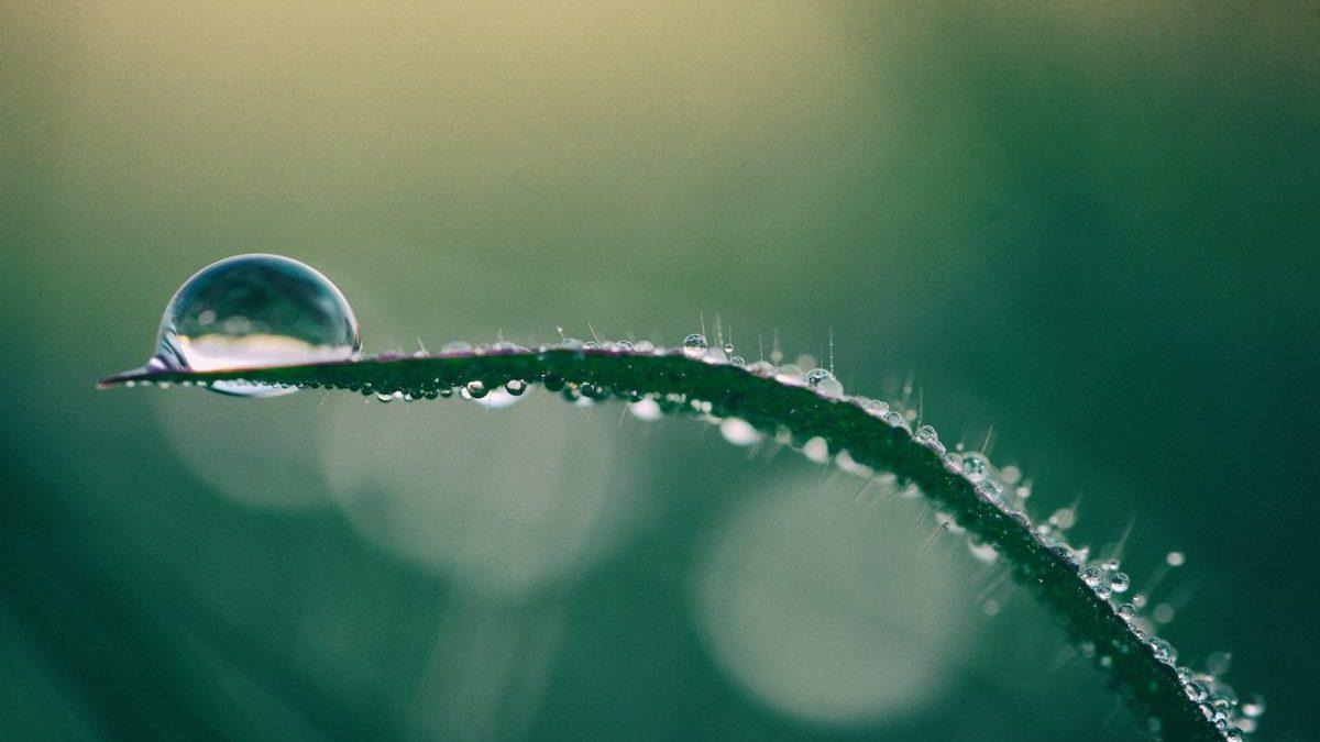 Water Policies Focused on the Future are Needed Today