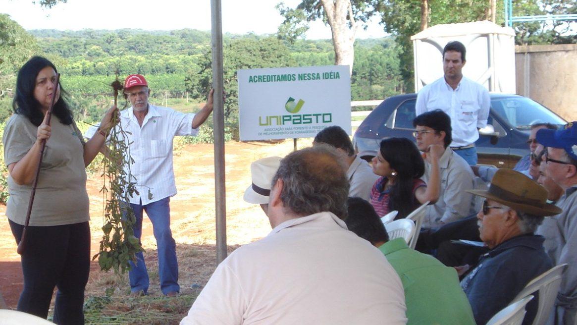 Celebrating a Brazilian Connection of Agriculture Research to Global Farmers